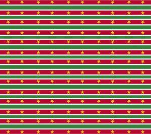 Surinaamse patroon katoen Patroon Su - 1-1