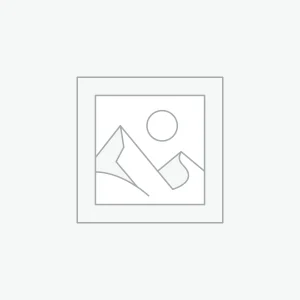 Een opvallend, tropisch geïnspireerd T-shirt waarop een levensechte leguaan (ook wel “boomkip” genoemd in de Suriname) centraal staat.